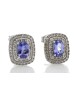 9ct White Gold Oval Diamond And Tanzanite Earring (T0.80) 0.35